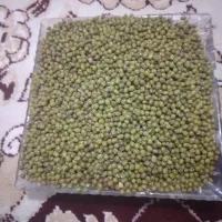 ماش ریز محلی درجه یک بوجار شده|خوردنی و آشامیدنی|گنبد کاووس, |دیوار