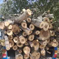 خرید انواع چوب های باغی