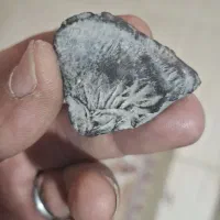 سنگ فسیل