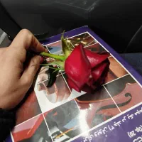 آموزش ویالون سطح مقدماتی