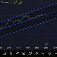 تریدر حرفه ای