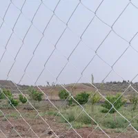 فنس توری حصاری نصب اجرا صفر تا صد فنس کشی|عمده‌فروشی|رباط‌کریم, صبا باطری|دیوار