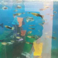 ماهی گوپی|ماهی|پاکدشت, خاتون آباد|دیوار