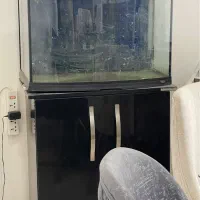 اکواریوم ماهی شرکتی با میز و کمد