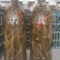 خیارشور خونگی