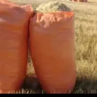 راهنمایی کنید لطفا.