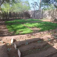 شخم زدن زمین باتیلر|خدمات باغبانی و درختکاری|آبادان, |دیوار