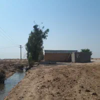 ۲۷ هکتار زمین بارانی|فروش دفتر صنعتی، کشاورزی، تجاری|شوش, |دیوار