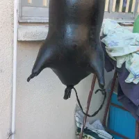 هیزه ۶منی
