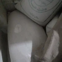 گندم بذر