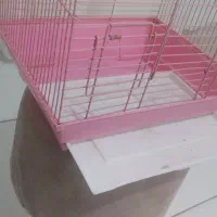 قفس برای طوطی|لوازم جانبی حیوانات|سنندج, |دیوار