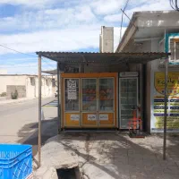 کانکس مرغ  فروشی