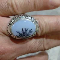 انگشتر شجرقائنات