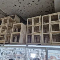 جفتخون چوبی|لوازم جانبی حیوانات|اراک, |دیوار