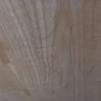درب ورودی دو لنگه