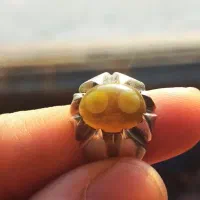 باباقوری بهزاد روستایی