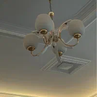 لوستر دو عدد