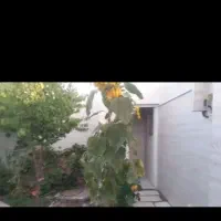 ویلایی امام خمینی ۳۹