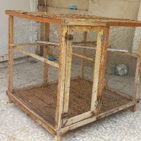 قفس مرغ|لوازم جانبی حیوانات|لار, |دیوار