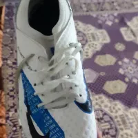 کفش ورزشی|کیف، کفش، کمربند|اهر, |دیوار