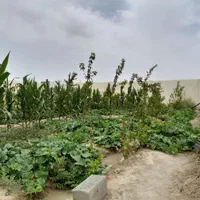 باغ چهار دیواری موقعیت عالی|فروش دفتر صنعتی، کشاورزی، تجاری|اصفهان, براآن شمالی|دیوار