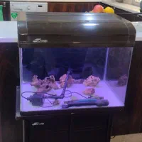 آکواریوم شرکتی همراه میز