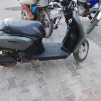 09029592443