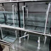 آکواریوم به همراه پایه و پمپ هوای مرکزی