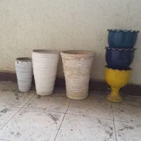 گلدان سفالی|گل و گیاه طبیعی|تهران, قصر فیروزه ۲|دیوار