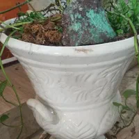 گلدان سفالی|گل و گیاه طبیعی|مشهد, چهارچشمه|دیوار