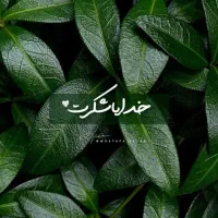 قفل گردن موتور گمشده