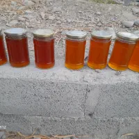 عسل کوهی بشاگرد