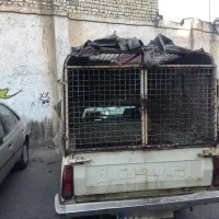 پیکان وانت|خودرو سواری و وانت|کرج, بنیاد|دیوار