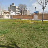 کف پوش طرح چمن
