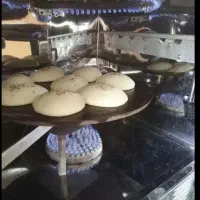 فر استیل گازی