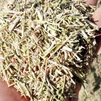 خار وشوره وسلمه قاطی|خدمات باغبانی و درختکاری|عطاملک, |دیوار