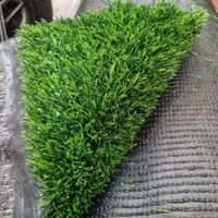 آکاردئونی گل برگ ریحون شمشاد پارتیشن|گل مصنوعی|فردیس, فردیس|دیوار