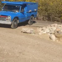 نیسان‌89|خودرو سواری و وانت|خرم‌آباد, |دیوار