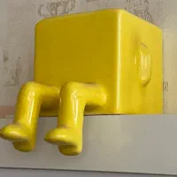 گلدان رومیزی نشسته|گل و گیاه طبیعی|مرند, |دیوار