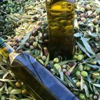 فروش انار ربی ترک همراه با انارهای ریز سالم|خوردنی و آشامیدنی|رشت, معلولین|دیوار