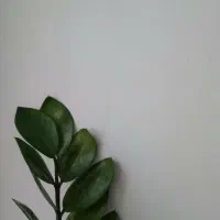 ا‌دمین حرفه ای اینستاگرام