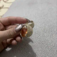 فروش ۲۴ گرم ۳ درصد بالای تابلو|جواهرات|قزوین, |دیوار