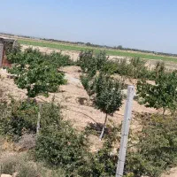 ۳۵۰متر زمین باغچه سهیلیه اقبالیه دولت آباد|فروش زمین و ملک کلنگی|کرج, گلشهر|دیوار