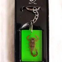 جاکلیدی آنتیک با عقرب واقعی