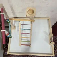 پارک بازی پرنده|لوازم جانبی حیوانات|کرج, فاز ۴ مهرشهر|دیوار