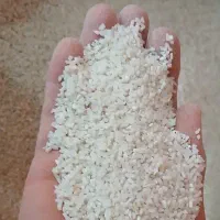 نیم دانه طارم هاشمی