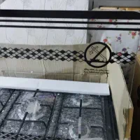 دو عدد گاز طرح فر نو برای فروش|اجاق گاز و لوازم برقی پختوپز|جیرفت, |دیوار