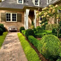 باغبانی باغچه کاری اجرای فضای سبز گل کاری چمن کاری|خدمات باغبانی و درختکاری|تهران, فرمانیه|دیوار