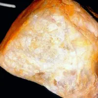 شهاب سنگ قمری. مریخی|جواهرات|تهران, آزادشهر|دیوار