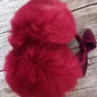 هردو گوش گیر